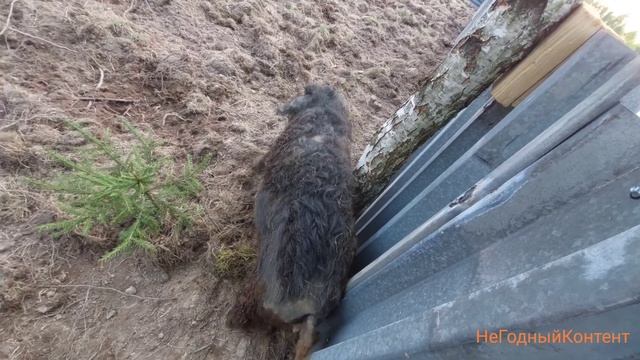 Летняя кухня из кирпича. Большая стройка! 1 серия, 2 день смотреть онлайн