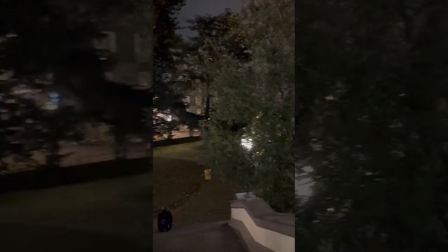 #shorts парк біля театру Сан-Карло ввечері під час прем'єри балету #2022 смотреть онлайн