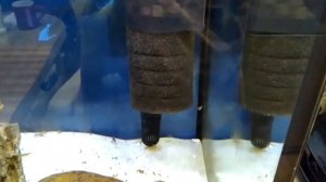 Гаммарус бокоплав мормыш в аквариуме часть 3 конец эксперимента