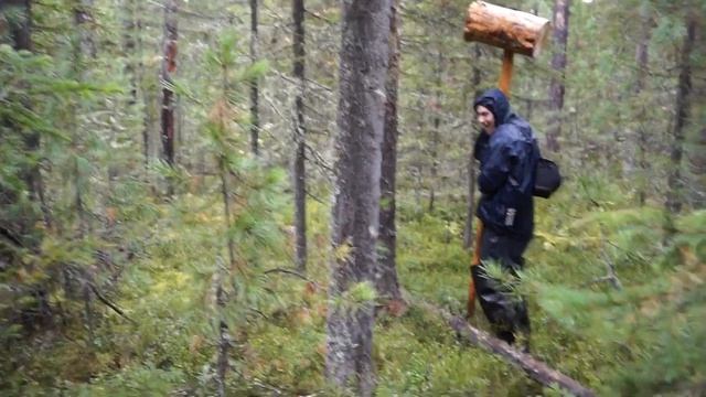 Добываем шишку.