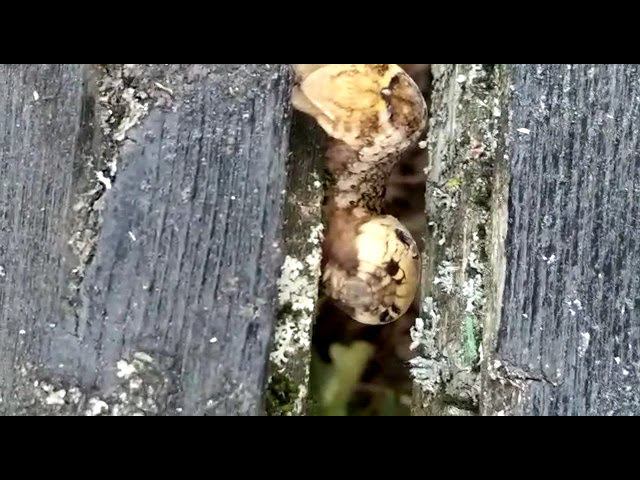 14 августа 2022 г. смотреть онлайн