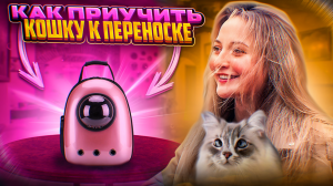 КАК ПРИУЧИТЬ КОШКУ К ПЕРЕНОСКЕ? | Маленькие хитрости