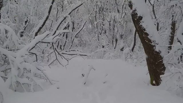 снегопад смотреть онлайн