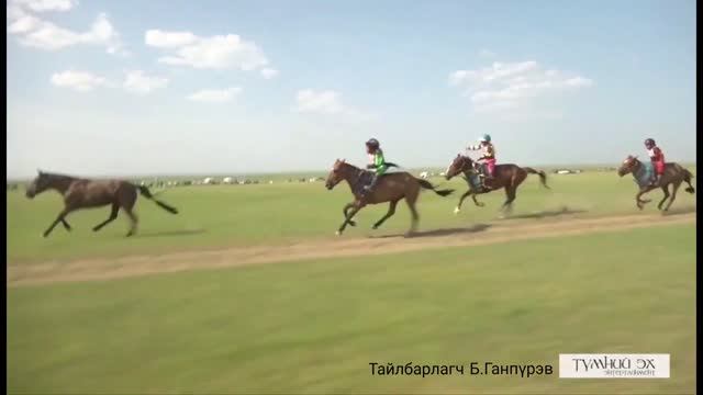 Шоу халзан Mongolian horse race смотреть онлайн