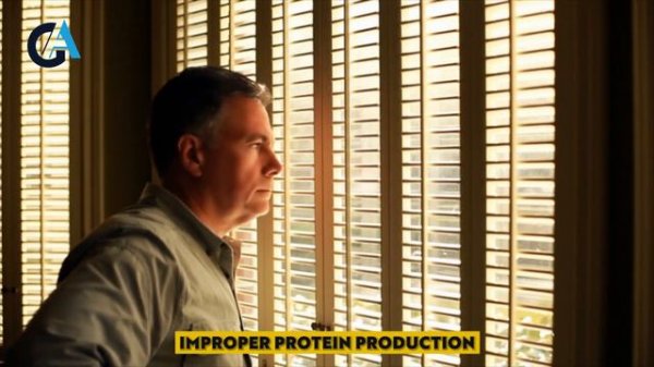 Dr. Joe Dispenza l THE Most Powerful Formula To Reprogram Your Mind! (-22 YEARS OLD)