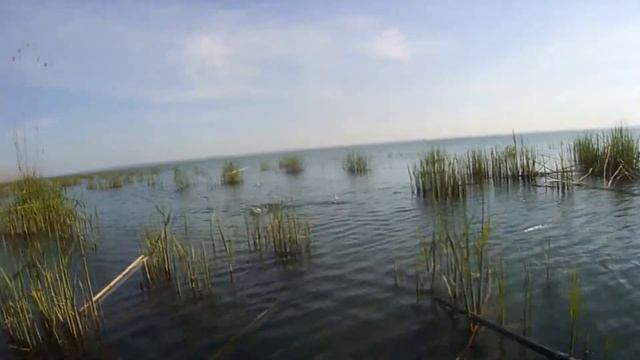Вперёд за карасями Ловля на поплавок в камышах 26 04 18 смотреть онлайн