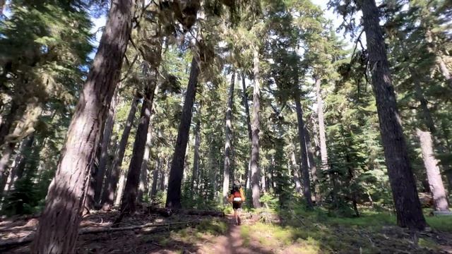 Father Son Adventure On The Pacific Crest Trail - Part 5