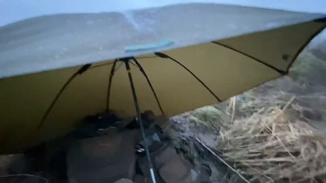 Korum 50” Graphite Brolly Review