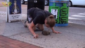 Пранк с крысой на дистанционнрм управлении