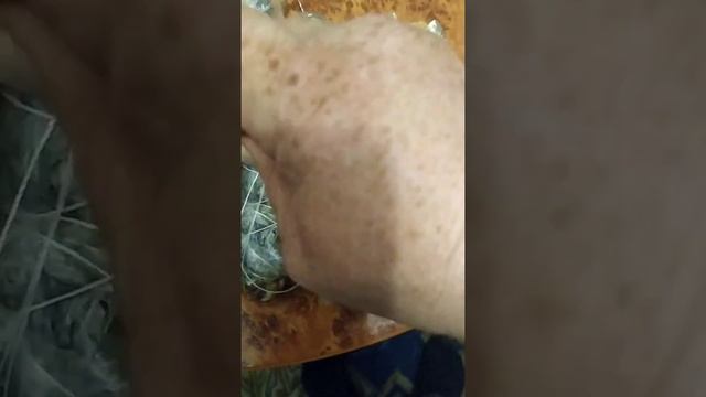 скумбрия в желе смотреть онлайн