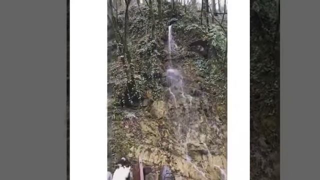 Новогодние каникулы в Сочи!!! смотреть онлайн