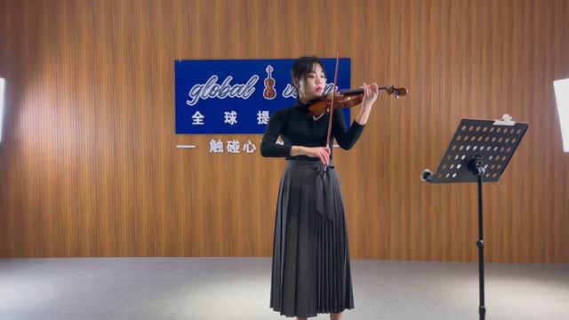 High Quality 4/4 Advanced Violin With Nice Sound (DV-503)