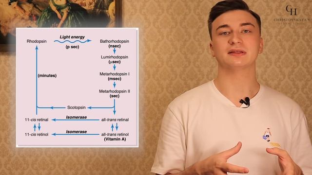 Куриная слепота (гемералопия, никталопия) | Биохимия смотреть онлайн