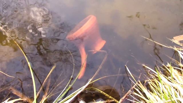 Ольха Самодельный натуральный краситель Татьяна Беспалова смотреть онлайн