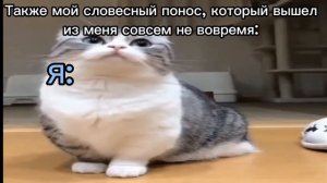 Кот говорит бананчики , НО это подборка мемов/жизы