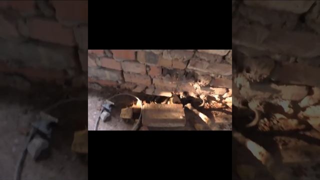 Про ГАДЮКУ смотреть онлайн
