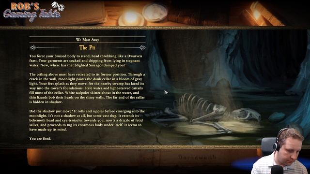 Lord of the Rings: Adventure Card Game Live Playthrough смотреть онлайн