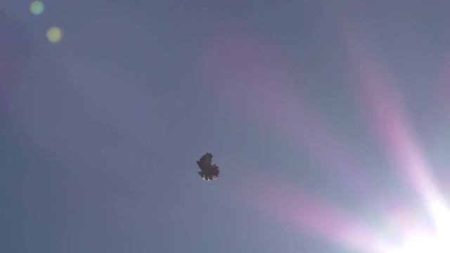 Свг Трофимова Э.А. март 2015 смотреть онлайн