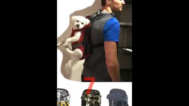 ПЕРЕНОСКИ ДЛЯ СОБАК.ПЕРЕНОСКИ ДЛЯ КОШЕК.(рюкзаки,сумки,чемоданы) смотреть онлайн