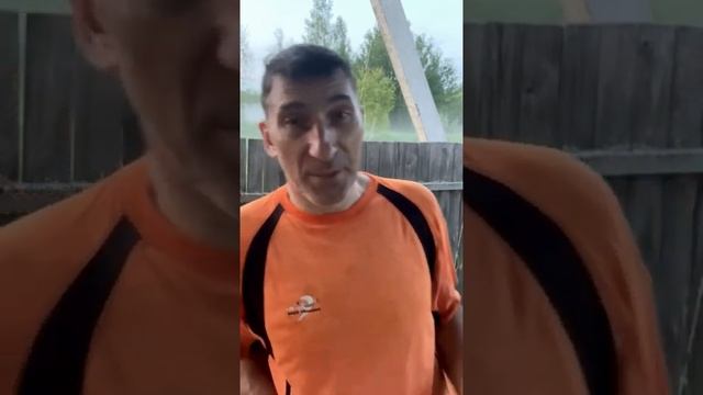 Дизайнерский гид