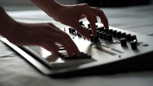 Ambient Winter Sun feat Korg Minilogue смотреть онлайн