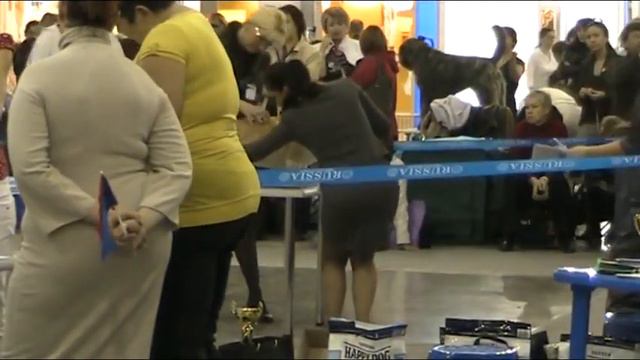 09.10.11 Москва "Россия-2011" Монопородка (часть 1) смотреть онлайн