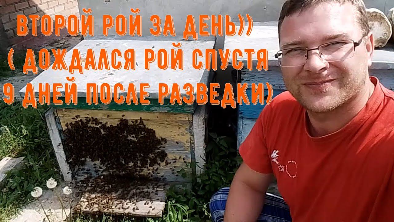 Поймал второй рой пчел!!! Рой пчел заходит в улей (2024) смотреть онлайн