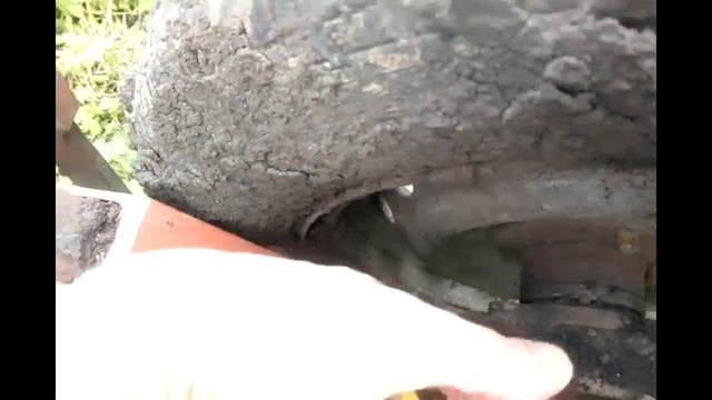 Культиватор на МТЗ-82 смотреть онлайн