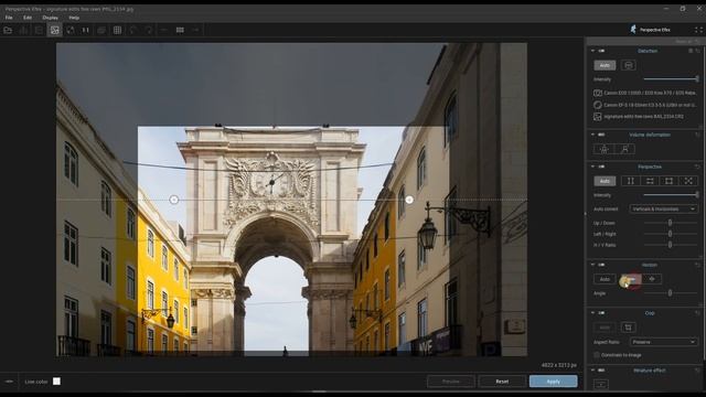 HOW To Fix Perspective Of A Photo With Perspective Efex In Nik Collection 4 смотреть онлайн