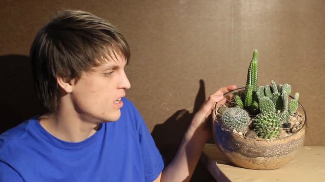 1 Month Update: Cactus Terrarium From HTT ep.4 смотреть онлайн