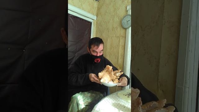Ежо́вик жёлтый - грибы смотреть онлайн
