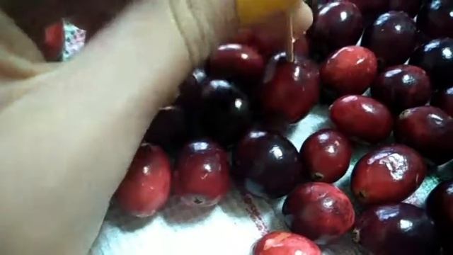 Шоу Акробатов и Аэробатики