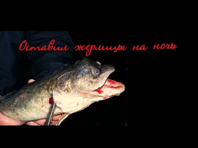 ✔️Оставил жерлицы на ночь на реке Рыбалка на живца смотреть онлайн