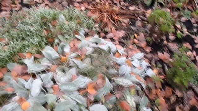 НОЯБРЬ. СОВМЕСТНЫЙ ПРОЕКТ. смотреть онлайн