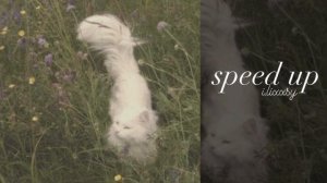 Паша Изотов-Нежно •speed up•