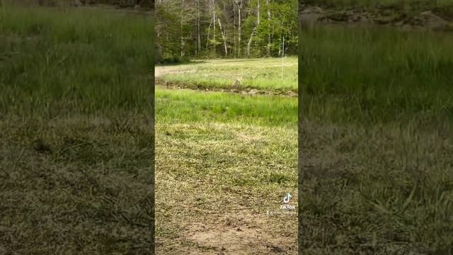 2023 Can Am Outlander Xmr 850 On Bounty Course