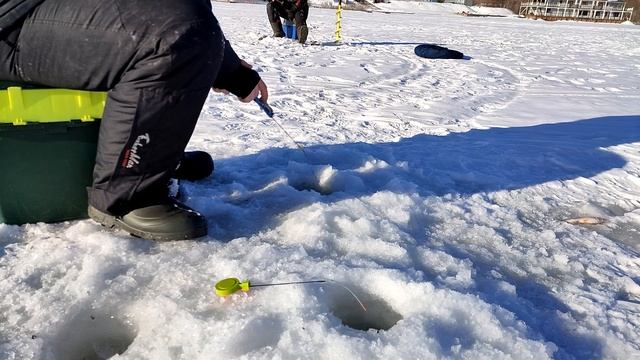 Гребной канал. Рыбалка в Нижнем Новгороде 2022 смотреть онлайн