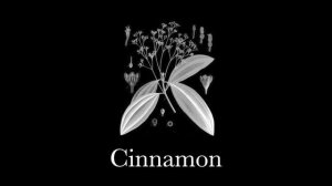 Cinnamon Girl – Lana Del Rey Instrumental Cover