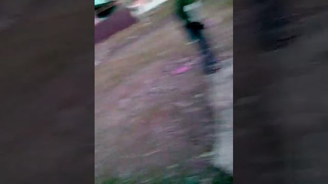 Как сделать сок из апельсина смотреть онлайн