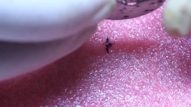 Ремонт наручных часов своими руками смотреть онлайн