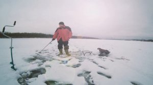 Лещ на дергушу ловля на покаток потяг Рыбалка на Оке густера сопа лещ ёрш ловля на течении