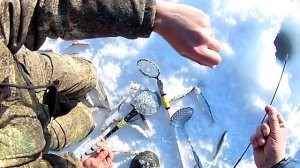 Зимняя рыбалка в Де Кастри Ловля корюшки  День второй Леска звенела как гитарная струна.