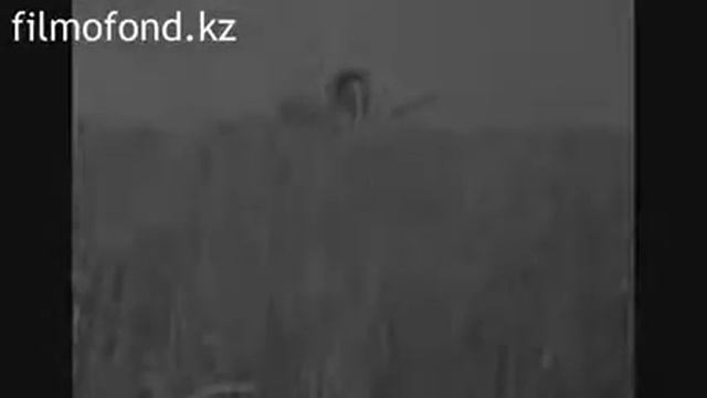 Казахский национальный аграрный университет КазСХИ, Хайдар Арыстанбеков, 1981 год смотреть онлайн