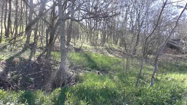 Сколько времени отсутствовала Хюррем, когда её похитили? смотреть онлайн