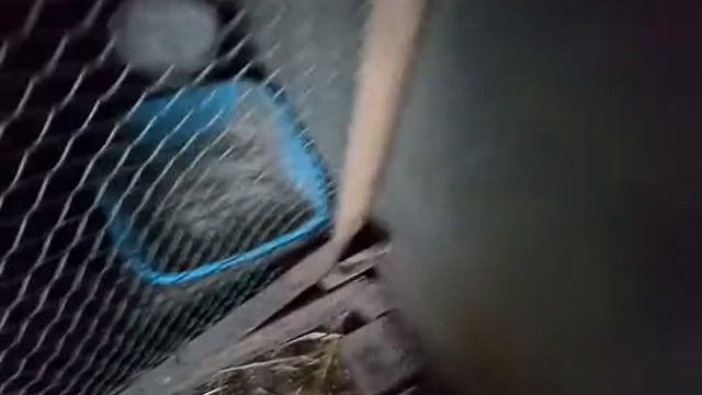 Утро. Когда опаздываю на работу.