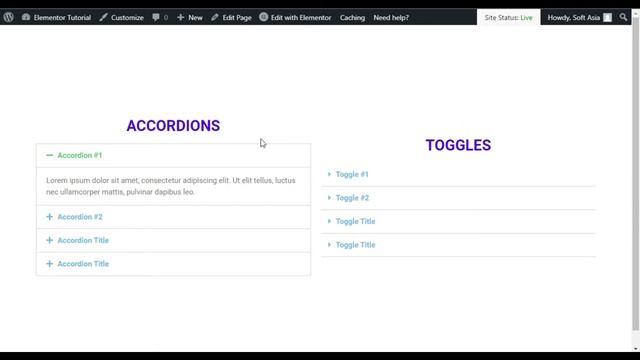 What's the Difference Between Accordion and Toggle Widgets in Elementor 2022 | WordPress Tutorial смотреть онлайн