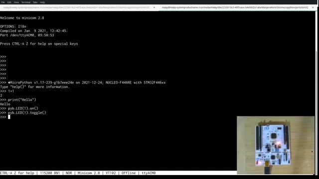 Step by step MicroPython on Nucleo-F446RE смотреть онлайн