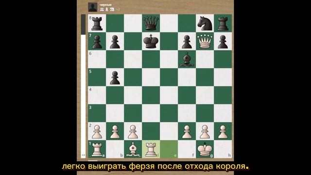 Шотландская партия. Основы дебюта для начинающих. Шахматы смотреть онлайн