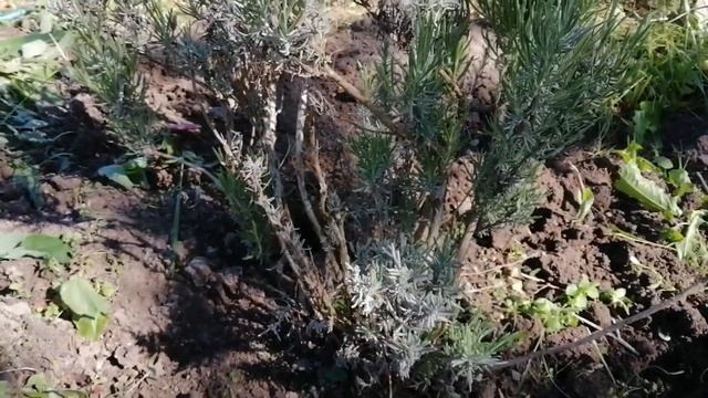 Внутренний разговор с миром