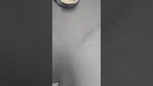 краш тест индо скут смотреть онлайн